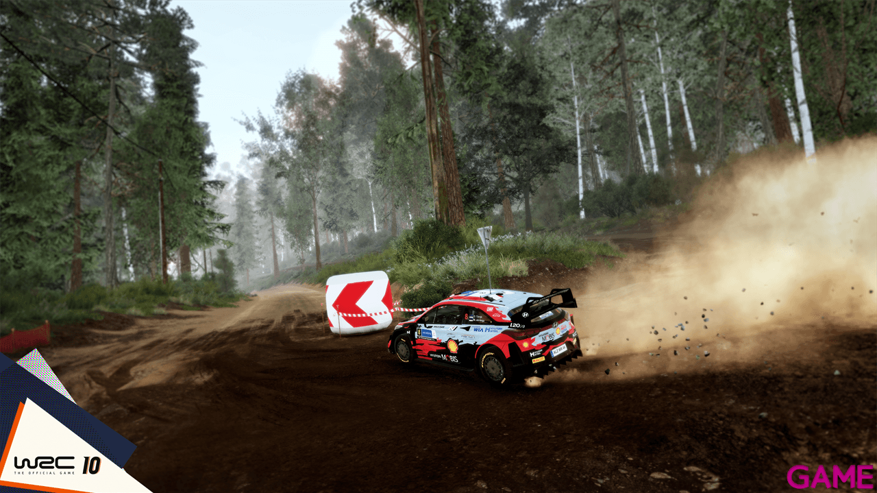 WRC 10 - CIAB Nintendo Switch