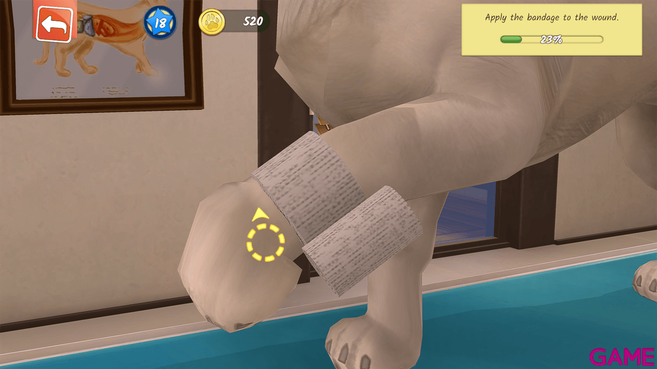 Animal Hospital