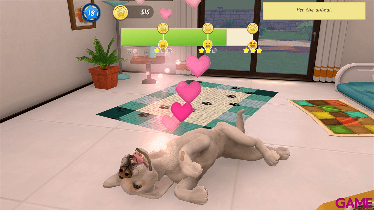 Animal Hospital