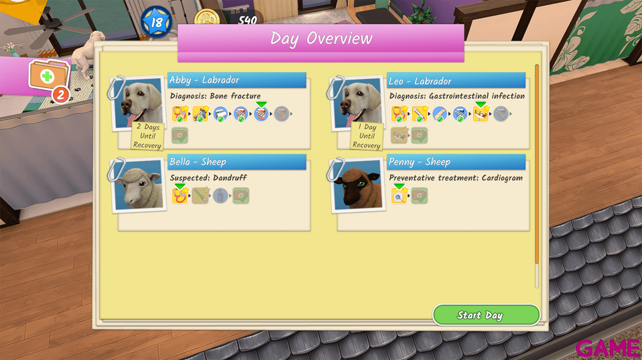 Animal Hospital