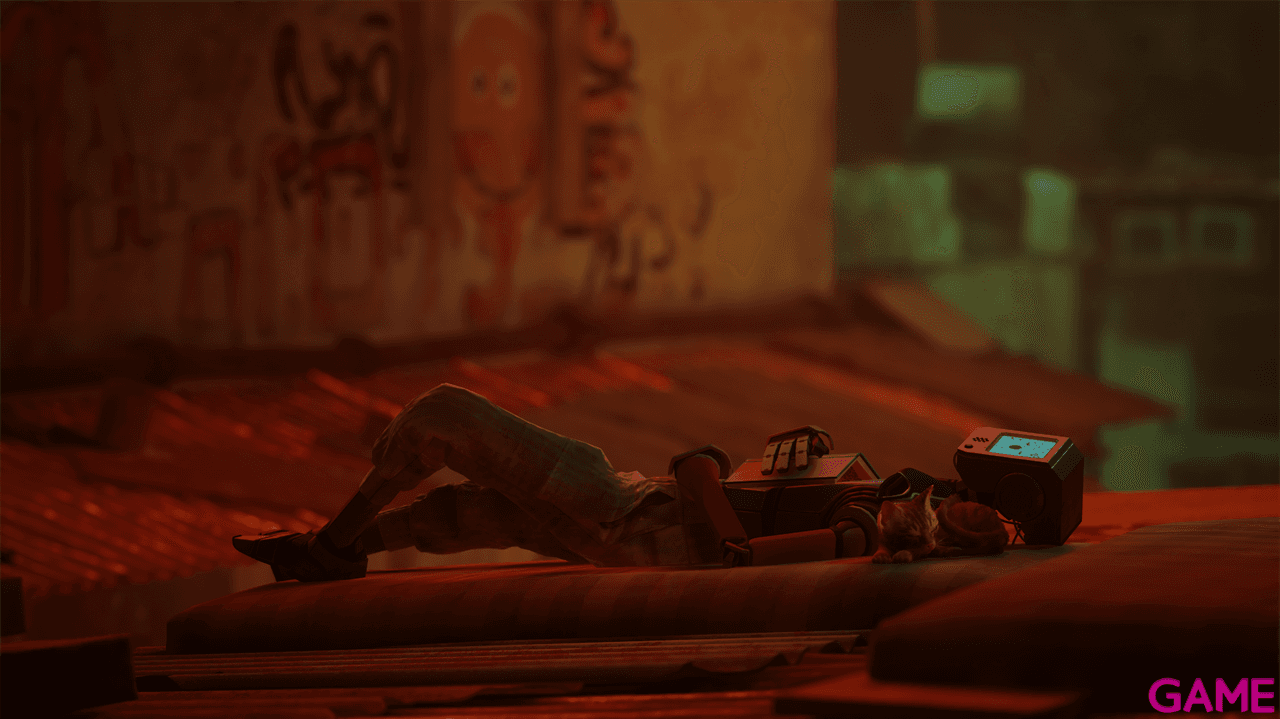 Stray