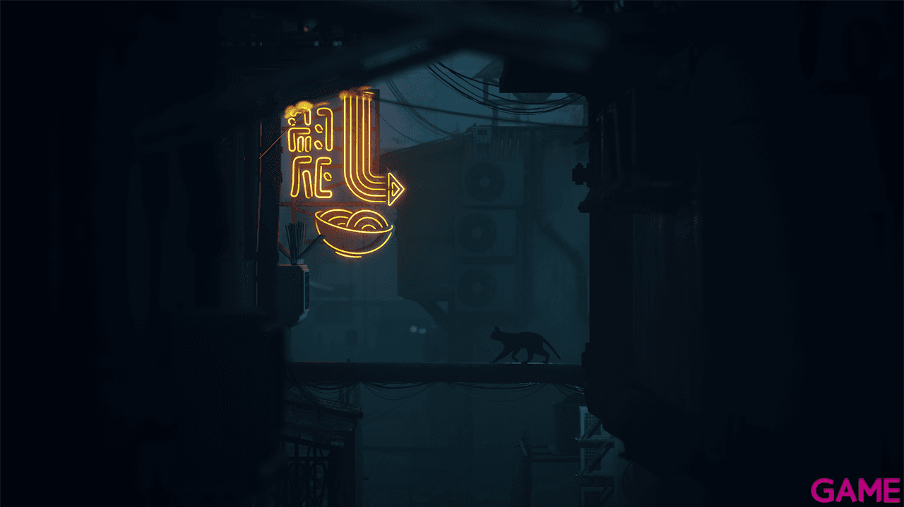 Stray