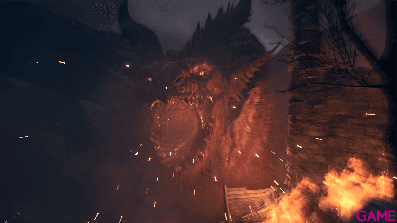 Dragon´s Dogma 2 PS5