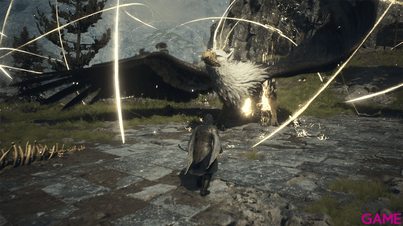 Dragon´s Dogma 2 PS5