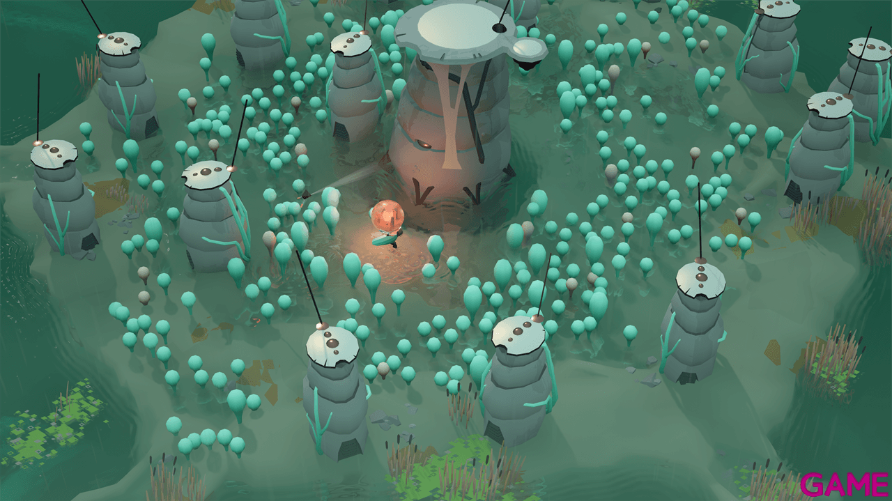 Cocoon