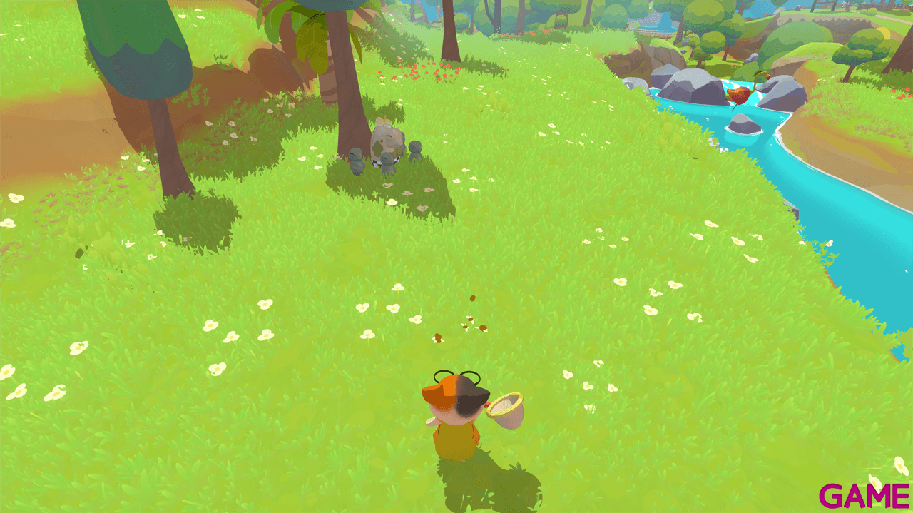 Petit Island