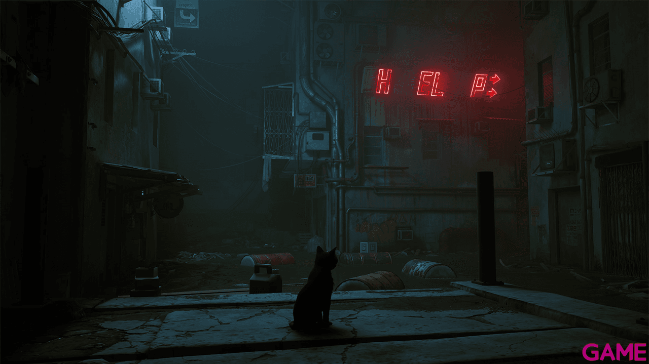 Stray
