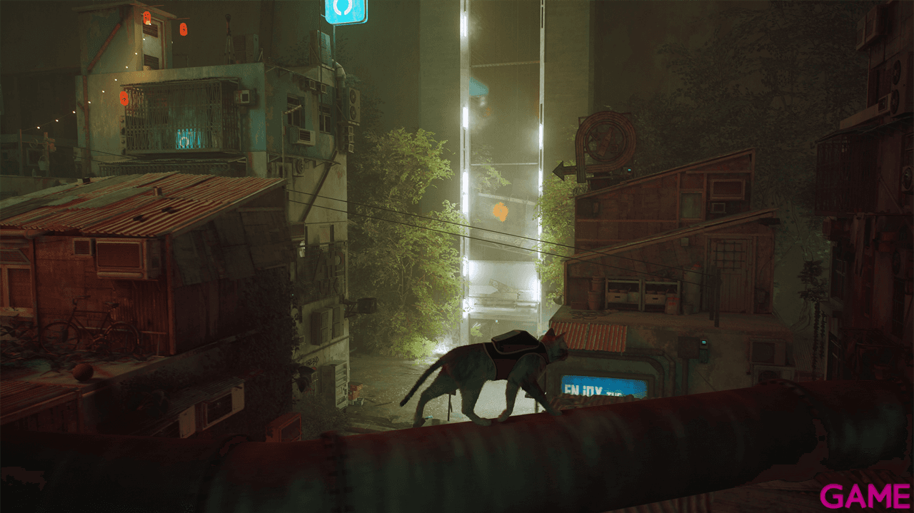 Stray