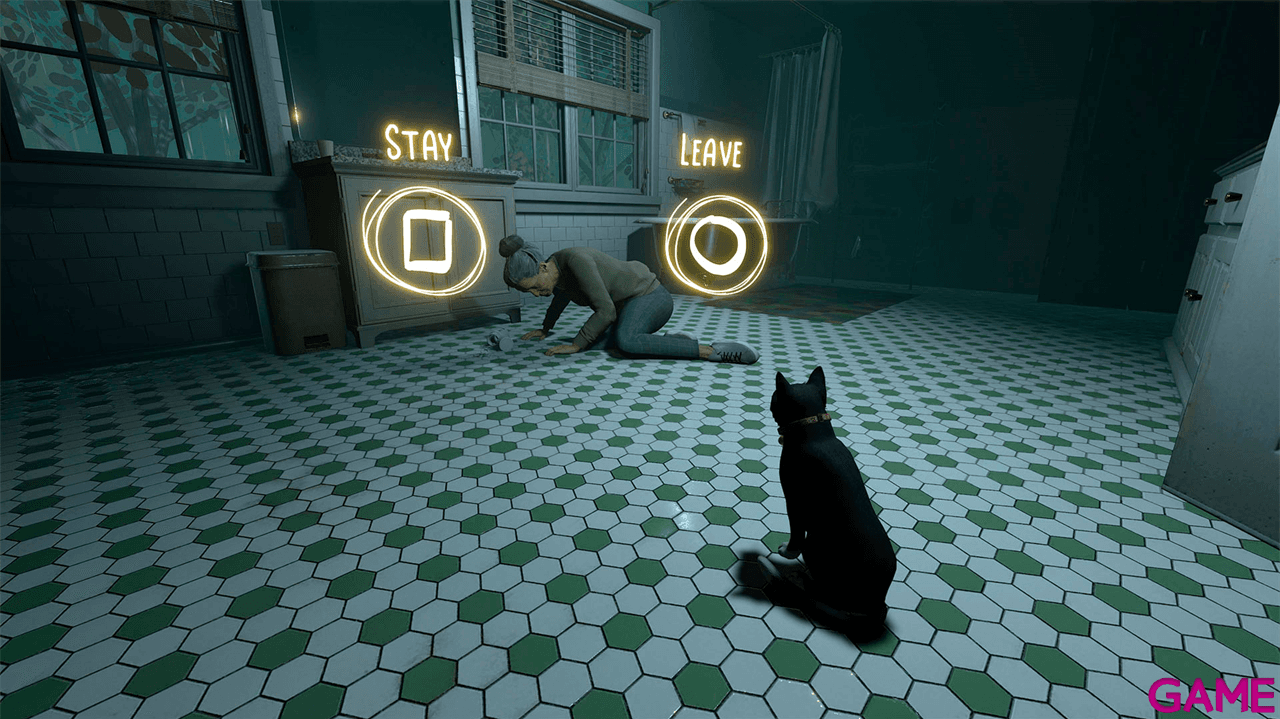 Copycat PS5