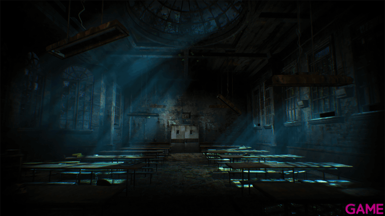 Asylum