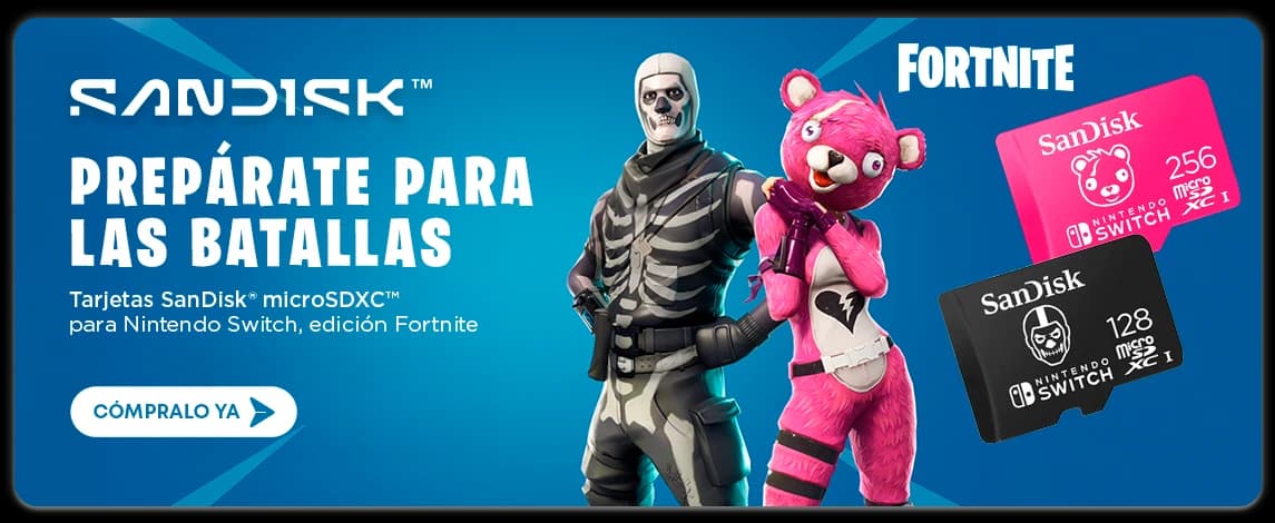 Sandisk Fortnite 