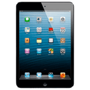 iPad mini Wifi 16Gb Negro