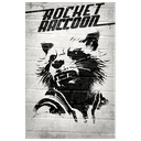 Mapache Cohete nº 32