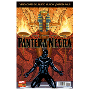 Pantera Negra nº 16