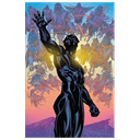 Pantera Negra nº 22