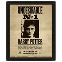 Cuadro 3D Harry Potter: Harry Potter y Sirius