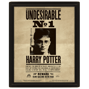 Cuadro 3D Harry Potter: Harry Potter y Sirius