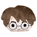 Cojín Harry Potter
