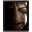 Cuadro 3D Harry Potter Voldemort