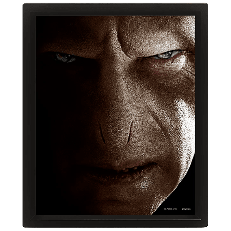Cuadro 3D Harry Potter Voldemort