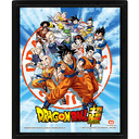 Cuadro 3D Dragon Ball Super: Goku and the Z Fighters