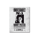 Lienzo 30x40 Harry Potter: Indeseable nº 1
