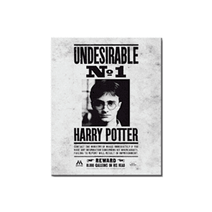 Lienzo 30x40 Harry Potter: Indeseable nº 1