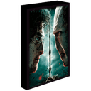 Lienzo con Iluminación 30x40cm Harry Potter: Harry vs Voldemort