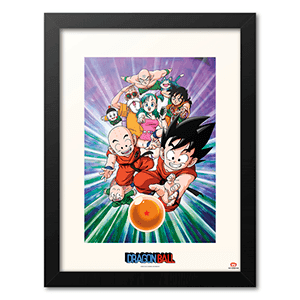 Lienzo 30x40 cm Dragon Ball Z: Team