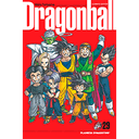 Dragon Ball nº 29
