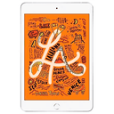 iPad Mini 5 4G 64Gb Plata