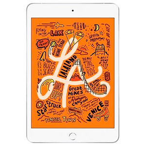 iPad Mini 5 4G 64Gb Plata