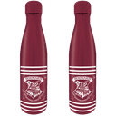 Botella Metal Harry Potter Cresta & rayas