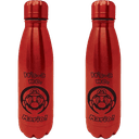 Botella Metal Super Mario 550ml