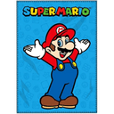 Manta Polar Super Mario Bros 2