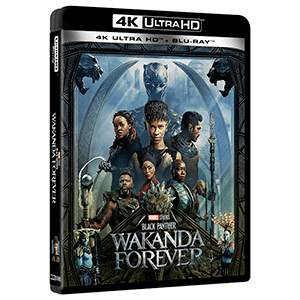 Black Panther 2 Wakanda Forever 4K + BD