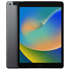 iPad 9 Wifi 256Gb Gris Espacial