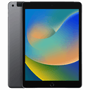 iPad 9 Cellular 256Gb Gris Espacial