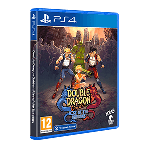 Double Dragon Gaiden Rise of the Dragons