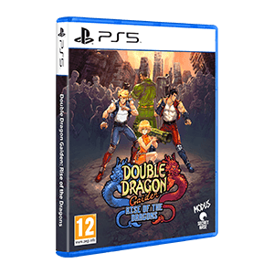 Double Dragon Gaiden Rise of the Dragons
