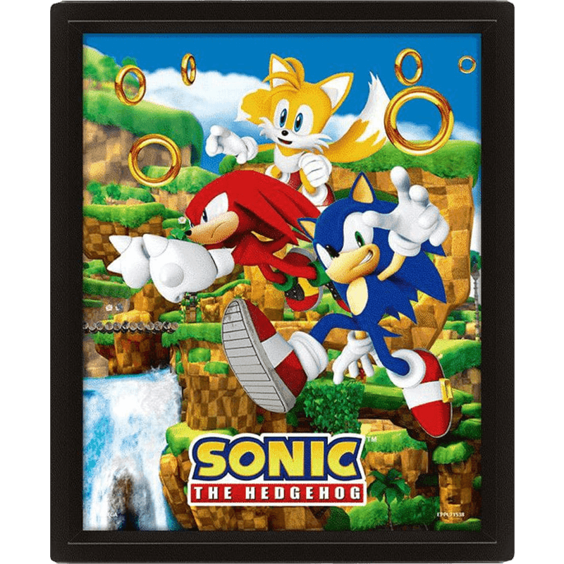 Cuadro 3D Sonic the Hedgehog: Anillos