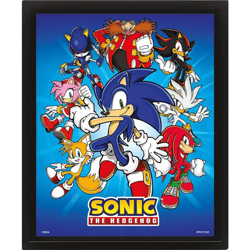 Cuadro 3D Sonic the Hedgehog: La Pandilla está Aquí