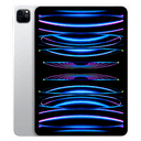 iPad Pro 11" 3ºGen Wifi 512Gb Plata