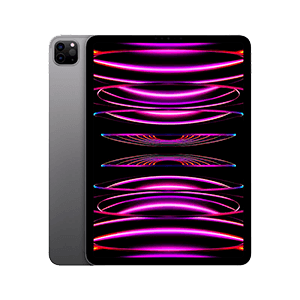 iPad Pro 11" 4ºGen Wifi 256Gb Gris Espacial