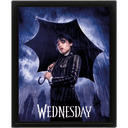Cuadro 3D Wednesday: Umbrella
