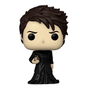 Figura Pop TV Sandman Dream