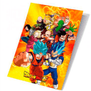 POSTER 3D DRAGON BALL SUPER UNIVERSAL SURVIVAL HEROES 40X60cm