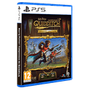 Harry Potter Campeones de Quidditch Deluxe Edition PS5