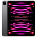 iPad Pro 12.9" 6ºGen Wifi 256Gb Gris Espacial