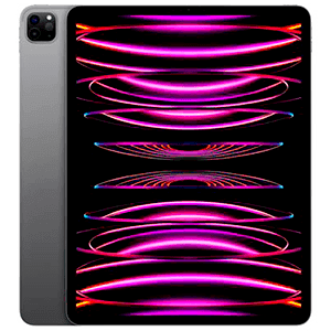 iPad Pro 12.9" 6ºGen Wifi 256Gb Gris Espacial
